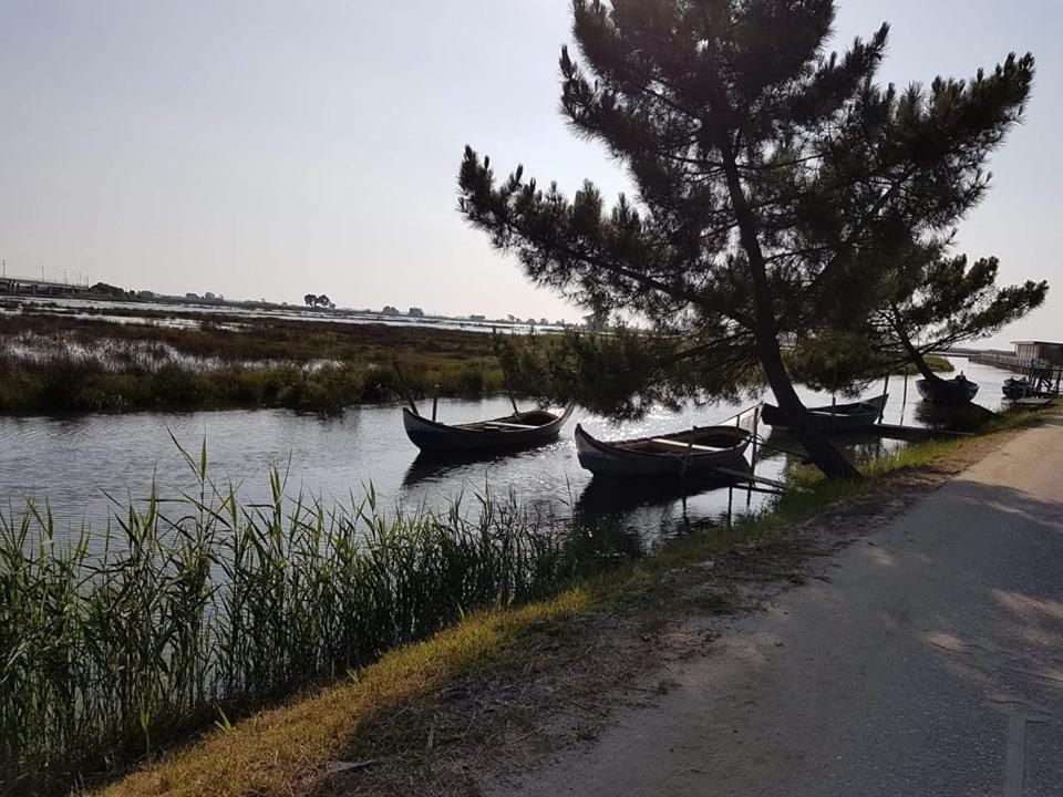 Casa Da Ribeira Leilighet Aveiro Eksteriør bilde